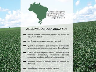 Centro de convergência 
da produção agropecuária, 
industrialização, comércio 
e serviços da Zona Sul 
AGRONEGÓCIO NA ZONA SUL 
Pelotas: terceira cidade mais populosa do Estado do 
Rio Grande do Sul; 
Rio Grande: porto exportador do Mercosul; 
Qualidade exemplar no que diz respeito à diversidade 
agropecuária, perfeitamente inserida no Bioma Pampa; 
Cultura do arroz irrigado e da soja, pecuária de raças 
britânicas, ovinocultura, fruticultura, atividade 
pesqueira e produção de leite e hortigranjeiros; 
Anidade cultural e histórica com os vizinhos do 
Mercosul; 
Reconhecido centro de pesquisa e ensino. 
 