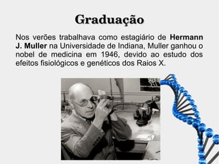GraduaçãoGraduação
Nos verões trabalhava como estagiário de Hermann J.
Muller na Universidade de Indiana, Muller ganhou o
nobel de medicina em 1946, devido ao estudo dos
efeitos fisiológicos e genéticos dos Raios X.
 