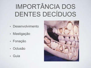 IMPORTÂNCIA DOS
DENTES DECÍDUOS
• Desenvolvimento
• Mastigação
• Fonação
• Oclusão
• Guia
 