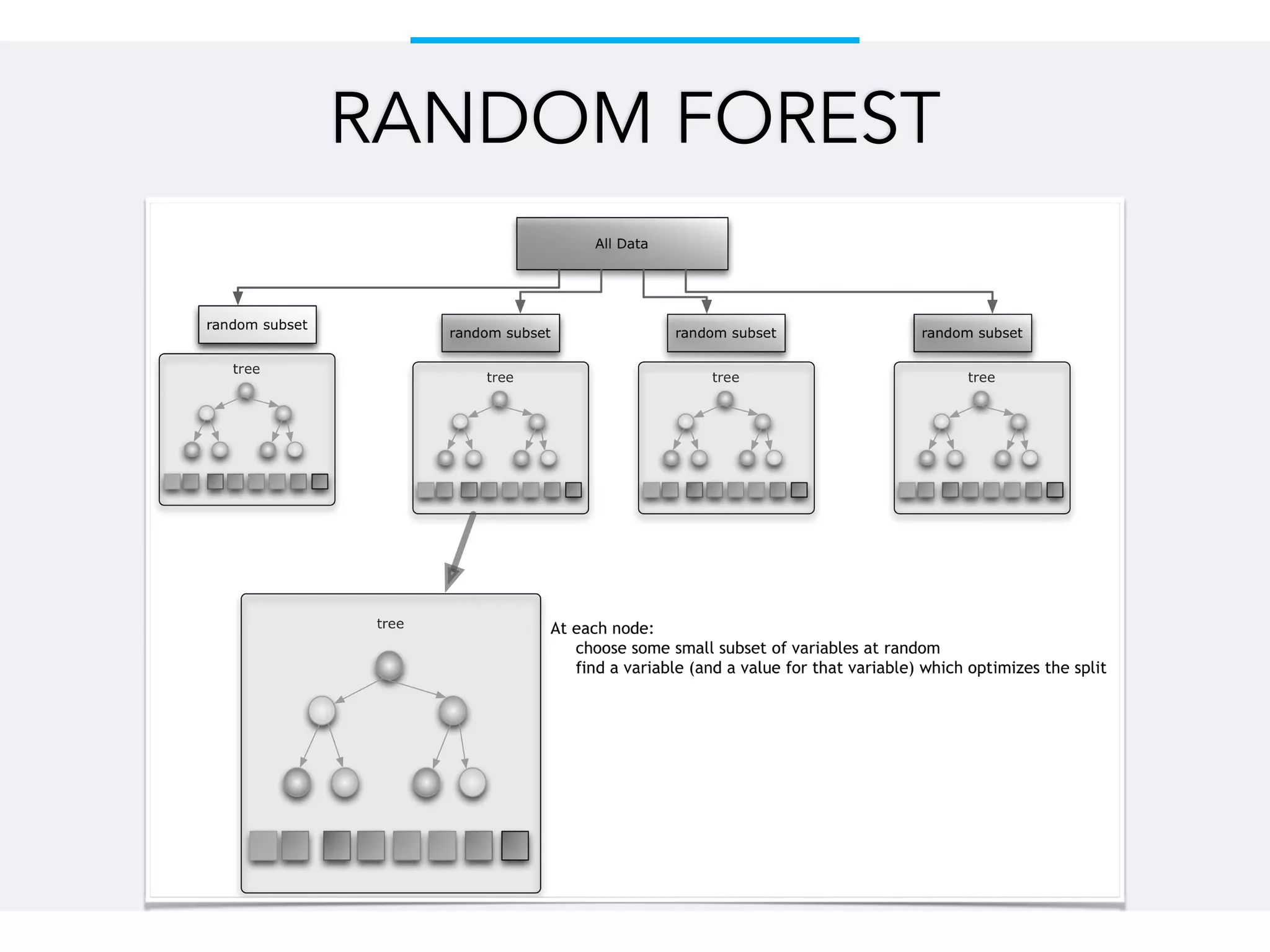 RANDOM FOREST
 