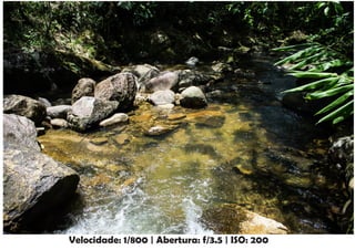 Velocidade: 1/800 | Abertura: f/3.5 | ISO: 200
 