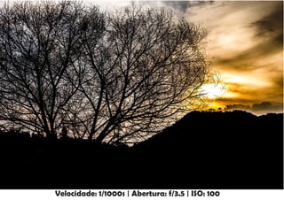 Velocidade: 1/1000s | Abertura: f/3.5 | ISO: 100
 