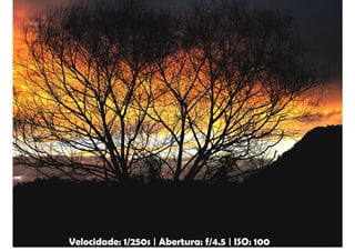 Velocidade: 1/250s | Abertura: f/4.5 | ISO: 100
 