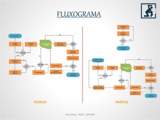 Chio Ming - RGM: 1205960
FLUXOGRAMA
TEÓRICO PRÁTICO
 