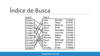 Índice de Busca
luiztools.com.br
 