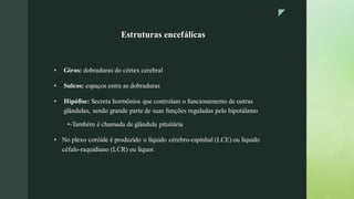 z
z
Estruturas encefálicas
▪ Giros: dobraduras do córtex cerebral
▪ Sulcos: espaços entre as dobraduras
▪ Hipófise: Secreta hormônios que controlam o funcionamento de outras
glândulas, sendo grande parte de suas funções reguladas pelo hipotálamo
▪-Também é chamada de glândula pituitária
▪ No plexo coróide é produzido o líquido cérebro-espinhal (LCE) ou líquido
céfalo-raquidiano (LCR) ou líquor.
 