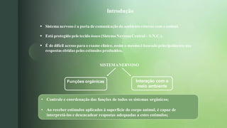 z
Introdução
▪ Sistema nervoso é a porta de comunicação do ambiente externo com o animal.
▪ Está protegido pelo tecido ósseo (Sistema Nervoso Central – S.N.C.).
▪ É de difícil acesso para o exame clínico, assim o mesmo é baseado principalmente nas
respostas obtidas pelos estímulos produzidos.
SISTEMANERVOSO
Funções orgânicas Interação com o
meio ambiente
• Controle e coordenação das funções de todos os sistemas orgânicos;
• Ao receber estímulos aplicados à superfície do corpo animal, é capaz de
interpretá-los e desencadear respostas adequadas a estes estímulos;
 