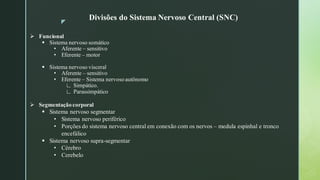 z
Divisões do Sistema Nervoso Central (SNC)
➢ Funcional
▪ Sistema nervoso somático
• Aferente – sensitivo
• Eferente – motor
▪ Sistema nervoso visceral
• Aferente – sensitivo
• Eferente – Sistema nervoso autônomo
∟ Simpático.
∟ Parassimpático
➢ Segmentação corporal
▪ Sistema nervoso segmentar
• Sistema nervoso periférico
• Porções do sistema nervoso central em conexão com os nervos – medula espinhal e tronco
encefálico
▪ Sistema nervoso supra-segmentar
• Cérebro
• Cerebelo
 