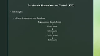 ➢ Embriológica
▪ Origem do sistema nervoso: Ectoderma
Espessamento do ectoderma
Pleura neural
Sulco neural
Goteira neural
Tubo neural
Divisões do Sistema Nervoso Central (SNC)
 