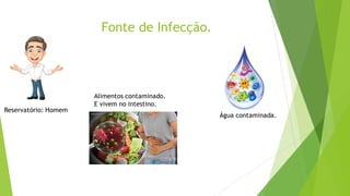Fonte de Infecção.
Reservatório: Homem
Água contaminada.
Alimentos contaminado.
E vivem no intestino.
 