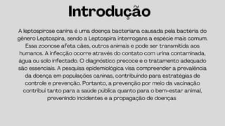 A leptospirose canina é uma doença bacteriana causada pela bactéria do
gênero Leptospira, sendo a Leptospira interrogans a espécie mais comum.
Essa zoonose afeta cães, outros animais e pode ser transmitida aos
humanos. A infecção ocorre através do contato com urina contaminada,
água ou solo infectado. O diagnóstico precoce e o tratamento adequado
são essenciais. A pesquisa epidemiológica visa compreender a prevalência
da doença em populações caninas, contribuindo para estratégias de
controle e prevenção. Portanto, a prevenção por meio da vacinação
contribui tanto para a saúde pública quanto para o bem-estar animal,
prevenindo incidentes e a propagação de doenças
Introdução
 