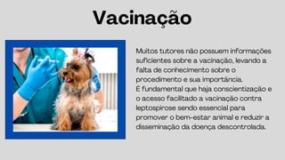 Muitos tutores não possuem informações
suficientes sobre a vacinação, levando a
falta de conhecimento sobre o
procedimento e sua importância.
É fundamental que haja conscientização e
o acesso facilitado a vacinação contra
leptospirose sendo essencial para
promover o bem-estar animal e reduzir a
disseminação da doença descontrolada.
Vacinação
 