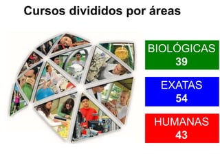 Cursos divididos por áreas
EXATAS
54
HUMANAS
43
BIOLÓGICAS
39
 