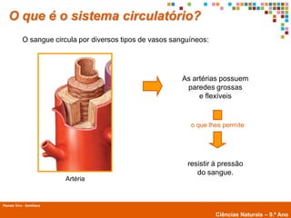 O que é o sistema circulatório?
             O sangue circula por diversos tipos de vasos sanguíneos:




                                                             As artérias possuem
                                                              paredes grossas
                                                                  e flexíveis


                                                               o que lhes permite




                                                              resistir à pressão
                                                                 do sangue.
                            Artéria


Planeta Vivo - Santillana
        Planeta Terra — 9.º ano
                                                                        Ciências Naturais – 9.º Ano
 