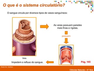O que é o sistema circulatório?
             O sangue circula por diversos tipos de vasos sanguíneos:




                                                        As veias possuem paredes
                                                           mais finas e rígidas.


                                                               possuem




                              Veia
                     Impedem o refluxo do sangue.                                    Pág. 165
Planeta Vivo - Santillana
        Planeta Terra — 9.º ano
                                                                        Ciências Naturais – 9.º Ano
 