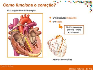 Como funciona o coração?
             O coração é constituído por:


                                            um músculo: miocárdio
                                            um septo

                                                         Divide o coração
                                                         em dois (direito
                                                           e esquerdo).




                                            Artérias coronárias

Planeta Vivo - Santillana
        Planeta Terra — 9.º ano
                                                           Ciências Naturais – 9.º Ano
 