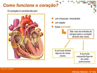 Como funciona o coração?
             O coração é constituído por:


                                            um músculo: miocárdio
                                            um septo
                                            duas aurículas
                                                            São vias de entrada do
                                                            sangue para o coração,
                                                              através das veias.




                                            A aurícula direita
                                            liga-se às veias             A aurícula
                                                 cavas.               esquerda liga-se
                                                                          às veias
                                                                        pulmonares.


Planeta Vivo - Santillana
        Planeta Terra — 9.º ano
                                                                 Ciências Naturais – 9.º Ano
 