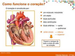 Como funciona o coração?
             O coração é constituído por:

                                            um músculo: miocárdio
                                            um septo
                                            duas aurículas
                                            dois ventrículos
                                            duas artérias: — aorta
                                                           — pulmonar
                                            veias cavas: — inferior
                                                         — superior


                                            Trazem o sangue de
                                            todo o corpo de volta
                                                ao coração.



Planeta Vivo - Santillana
        Planeta Terra — 9.º ano
                                                             Ciências Naturais – 9.º Ano
 
