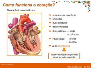Como funciona o coração?
             O coração é constituído por:

                                              um músculo: miocárdio
                                              um septo
                                              duas aurículas
                                              dois ventrículos
                                              duas artérias: — aorta
                                                             — pulmonar
                                              veias cavas: — inferior
                                                           — superior
                                             veias pulmonares


                                            Trazem o sangue dos pulmões
                                              para a aurícula esquerda.


Planeta Vivo - Santillana
        Planeta Terra — 9.º ano
                                                               Ciências Naturais – 9.º Ano
 