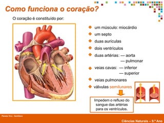 Como funciona o coração?
             O coração é constituído por:

                                            um músculo: miocárdio
                                            um septo
                                            duas aurículas
                                            dois ventrículos
                                            duas artérias: — aorta
                                                           — pulmonar
                                            veias cavas: — inferior
                                                         — superior
                                            veias pulmonares
                                            válvulas semilunares


                                            Impedem o refluxo do
                                             sangue das artérias
                                             para os ventrículos.
Planeta Vivo - Santillana
        Planeta Terra — 9.º ano
                                                             Ciências Naturais – 9.º Ano
 