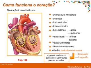 Como funciona o coração?
             O coração é constituído por:

                                                  um músculo: miocárdio
                                                  um septo
                                                  duas aurículas
                                                  dois ventrículos
                                                  duas artérias: — aorta
                                                                 — pulmonar
                                                  veias cavas: — inferior
                                                               — superior
                                                  veias pulmonares
                                                  válvulas semilunares
                                                  válvulas auriculoventriculares:
                                                                              — bicúspide
                                             Impedem o refluxo do
                                            sangue dos ventrículos            — tricúspide
                            Pág. 166           para as aurículas.
Planeta Vivo - Santillana
        Planeta Terra — 9.º ano
                                                                     Ciências Naturais – 9.º Ano
 