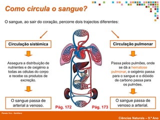 Como circula o sangue?
   O sangue, ao sair do coração, percorre dois trajectos diferentes:




        Circulação sistémica                                    Circulação pulmonar



       Assegura a distribuição de                              Passa pelos pulmões, onde
       nutrientes e de oxigénio a                                   se dá a hematose
       todas as células do corpo                               pulmonar, o oxigénio passa
        e recebe os produtos de                                 para o sangue e o dióxido
               excreção.                                         de carbono passa para
                                                                       os pulmões.



           O sangue passa de                                      O sangue passa de
            arterial a venoso.      Pág. 172        Pág. 173       venoso a arterial.
Planeta Vivo - Santillana
        Planeta Terra — 9.º ano
                                                                   Ciências Naturais – 9.º Ano
 