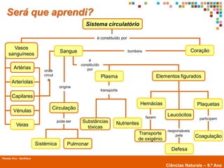 Será que aprendi?
                                                     Sistema circulatório

                                                            é constituído por

       Vasos
                                         Sangue                                 bombeia                              Coração
     sanguíneos
                                                       é
                                                   constituído
          Artérias                                    por
                               onde
                               circul                            Plasma                           Elementos figurados
                                 a
        Arteríolas
                                         origina
                                                                 transporta
        Capilares
                                                                                       Hemácias                        Plaquetas
                                    Circulação
         Vénulas
                                                                                          fazem
                                                                                                      Leucócitos
                                                                                                                        participam
                                        pode ser   Substâncias            Nutrientes
            Veias                                    tóxicas
                                                                                                      responsáveis
                                                                                     Transporte           pela        Coagulação
                                                                                     de oxigénio
                            Sistémica        Pulmonar
                                                                                                        Defesa
Planeta Vivo - Santillana
        Planeta Terra — 9.º ano
                                                                                                      Ciências Naturais – 9.º Ano
 