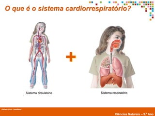 O que é o sistema cardiorrespiratório?




                                                   +
                            Sistema circulatório       Sistema respiratório




Planeta Vivo - Santillana
        Planeta Terra — 9.º ano
                                                                 Ciências Naturais – 9.º Ano
 