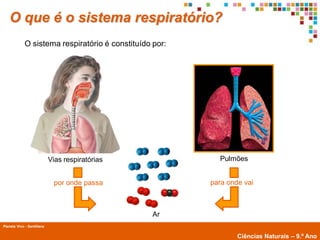 O que é o sistema respiratório?
             O sistema respiratório é constituído por:




                            Vias respiratórias             Pulmões


                             por onde passa              para onde vai



                                                  Ar
Planeta Vivo - Santillana
        Planeta Terra — 9.º ano
                                                                 Ciências Naturais – 9.º Ano
 