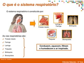 O que é o sistema respiratório?
             O sistema respiratório é constituído por:




                                                                       Laringe e
                                                                        Faringe            Brônquios
                                                Fossas nasais




   As vias respiratórias são:
         Fossas nasais                                     Traqueia               Bronquíolos
        Faringe

        Laringe                                 Conduzem, aquecem, filtram
        Traqueia                                e humedecem o ar inspirado.
        Brônquios

        Bronquíolos

Planeta Vivo - Santillana
        Planeta Terra — 9.º ano
                                                                                   Ciências Naturais – 9.º Ano
 