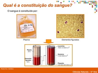 Qual é a constituição do sangue?
             O sangue é constituído por:




                            Plasma         Elementos figurados




Planeta Vivo - Santillana
        Planeta Terra — 9.º ano
                                                       Ciências Naturais – 9.º Ano
 