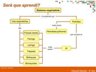 Será que aprendi?
                                                 Sistema respiratório

                                                     é constituído por

                     Vias respiratórias                                                Pulmões
                                                                  onde ocorre
                            são

                                                           Hematose pulmonar
                                  Fossas nasais
                                                                                     que vai para os

                                      Faringe

                                      Laringe
                                                             onde
                                                             passa              Ar
                                     Traqueia

                                     Brônquios

                                    Bronquíolos
Planeta Vivo - Santillana
        Planeta Terra — 9.º ano
                                                                                      Ciências Naturais – 9.º Ano
 