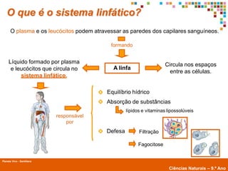 O que é o sistema linfático?
      O plasma e os leucócitos podem atravessar as paredes dos capilares sanguíneos.

                                           formando


     Líquido formado por plasma                                       Circula nos espaços
      e leucócitos que circula no           A linfa
                                                                        entre as células.
          sistema linfático.

                                          Equilíbrio hídrico
                                          Absorção de substâncias
                                                   lípidos e vitaminas lipossolúveis
                            responsável
                                por
                                          Defesa         Filtração

                                                         Fagocitose


Planeta Vivo - Santillana
        Planeta Terra — 9.º ano
                                                                        Ciências Naturais – 9.º Ano
 