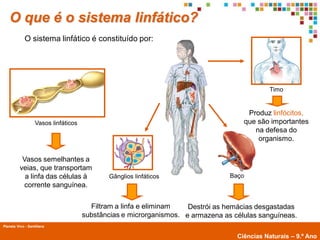 O que é o sistema linfático?
             O sistema linfático é constituído por:




                                                                                             Timo


                                                                                      Produz linfócitos,
                   Vasos linfáticos                                                  que são importantes
                                                                                        na defesa do
                                                                                         organismo.

           Vasos semelhantes a
          veias, que transportam
            a linfa das células à            Gânglios linfáticos                 Baço
           corrente sanguínea.

                                        Filtram a linfa e eliminam   Destrói as hemácias desgastadas
                                      substâncias e microrganismos. e armazena as células sanguíneas.
Planeta Vivo - Santillana
        Planeta Terra — 9.º ano
                                                                                   Ciências Naturais – 9.º Ano
 