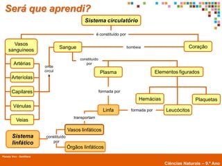 Será que aprendi?
                                                   Sistema circulatório

                                                            é constituído por

       Vasos
                                     Sangue                                     bombeia                        Coração
     sanguíneos
                                                 constituído
          Artérias                                  por
                            onde
                            circul                             Plasma                           Elementos figurados
                              a
        Arteríolas

        Capilares                                              formada por
                                                                                      Hemácias                     Plaquetas
         Vénulas
                                                                 Linfa            formada por       Leucócitos
                                              transportam
            Veias

                                           Vasos linfáticos
        Sistema              constituído
        linfático               por
                                           Órgãos linfáticos
Planeta Vivo - Santillana
        Planeta Terra — 9.º ano
                                                                                                    Ciências Naturais – 9.º Ano
 
