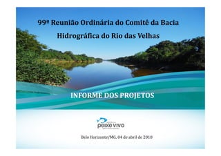 99ª Reunião Ordinária do Comitê da Bacia
Hidrográfica do Rio das Velhas
1
Belo Horizonte/MG, 04 de abril de 2018
INFORME DOS PROJETOS
 