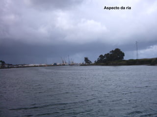 Aspecto da ria 