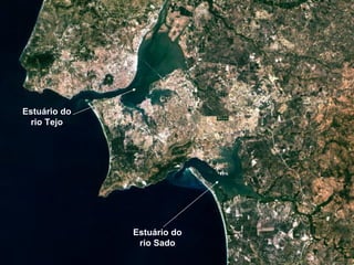 Estuário do rio Tejo Estuário do rio Sado 