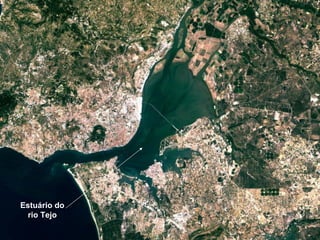 Estuário do rio Tejo 