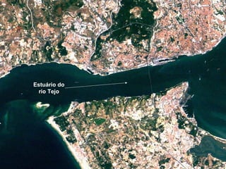 Estuário do rio Tejo 