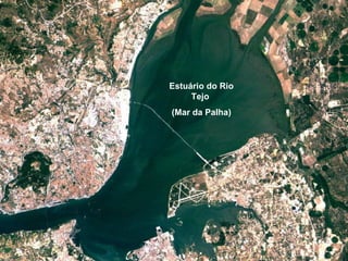 Estuário do Rio Tejo  (Mar da Palha) 