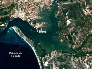 Estuário do rio Sado 