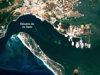 Estuário do rio Sado 