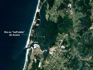 Ria ou “haff delta” de Aveiro 