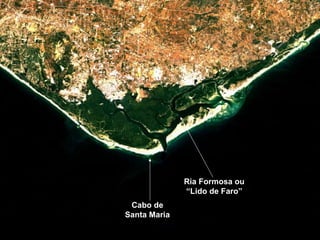 Cabo de Santa Maria Ria Formosa ou “Lido de Faro” 