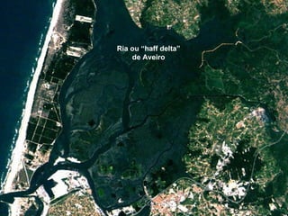 Ria ou “haff delta” de Aveiro 