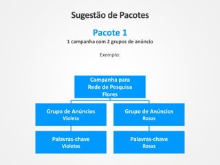 Sugestão de Pacotes
Pacote 1
1 campanha com 2 grupos de anúncio
Exemplo:
Grupo de Anúncios
Violeta
Palavras-chave
Violetas
Palavras-chave
Rosas
Grupo de Anúncios
Rosas
Campanha para
Rede de Pesquisa
Flores
 