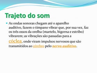 Trajeto do som
 As ondas sonoras chegam até o aparelho

auditivo, fazem o tímpano vibrar que, por sua vez, faz
os três ossos da orelha (martelo, bigorna e estribo)
vibrarem; as vibrações são passadas para a

cóclea, onde viram impulsos nervosos que são
transmitidos ao cérebro pelo nervo auditivo.

 