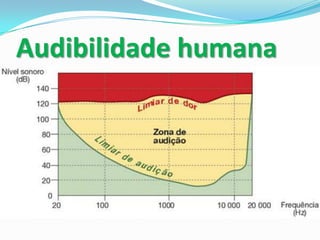 Audibilidade humana

 