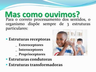 Mascorreto processamento dos sentidos, o
como ouvimos?
Para o
organismo dispõe sempre de 3 estruturas
particulares:
 Estruturas receptoras
_ Exteroceptores
_ Interoceptores
_ Proprioceptores

 Estruturas condutoras
 Estruturas transformadoras

 